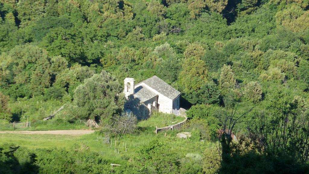 Villa Petrera Valle-di-Campoloro Exterior photo